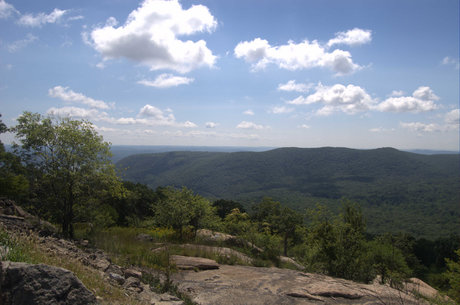 M Hendrickson Photo OnlyFans Nacktbilder