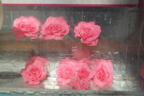 Metsanneiti OnlyFans Strip