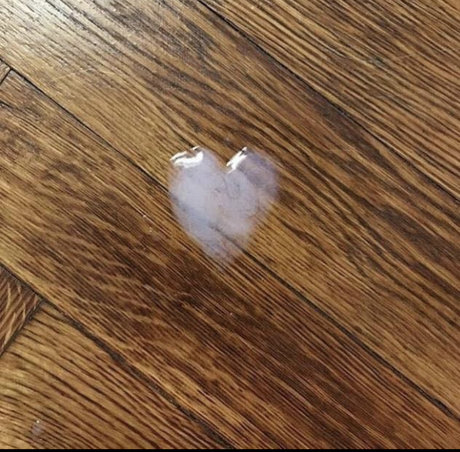 Bad Bear Cub Club OnlyFans Strip