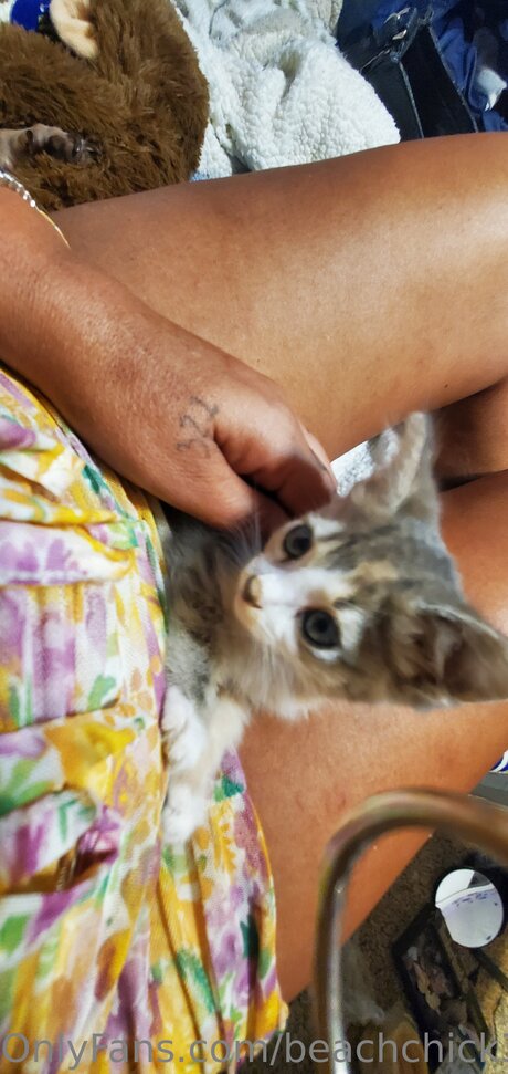 Beach Chick 321 NurlyFans-Brüste