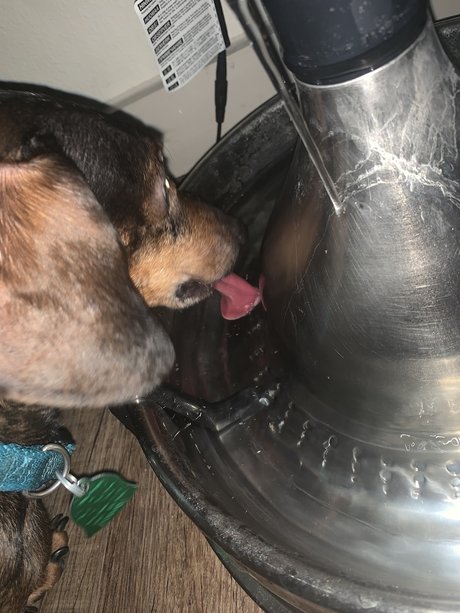 _cumm OnlyFans gratis