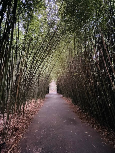 Miky 88 Auf OnlyFans