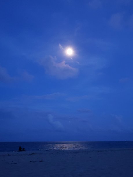 Cat Bitch OnlyFans Fotos