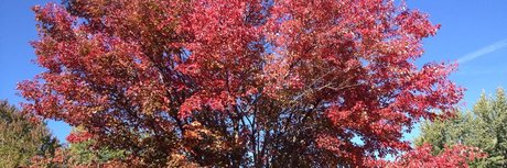 Taylor O Brian OnlyFans geleakt