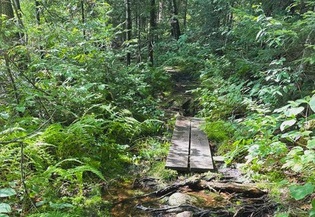 mickey_ OnlyFans Sex