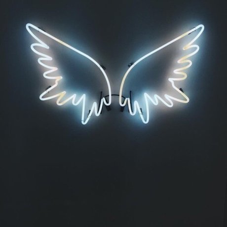 Blanco OnlyFans-Creator