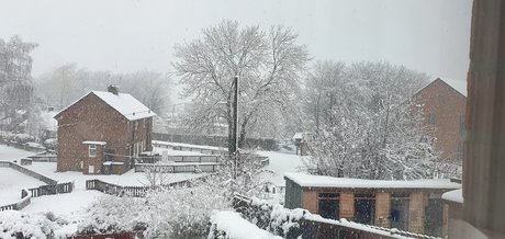 Minimoose OnlyFans Fick geleakt