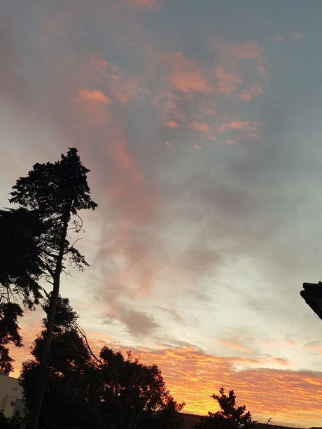 Cardoso Joi OnlyFans