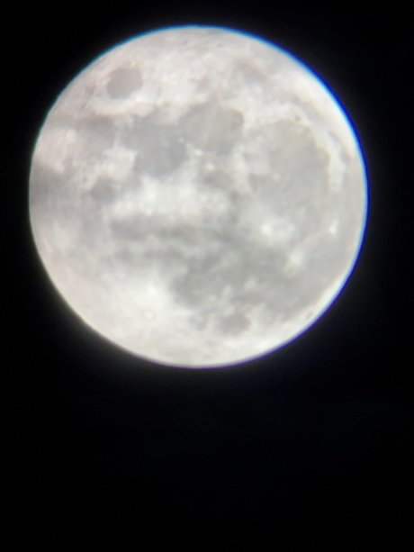 mina rose_ Nacktbilder OnlyFans geleakt