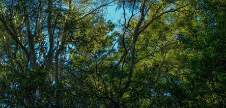 Chance Photography Kostenloses OnlyFans