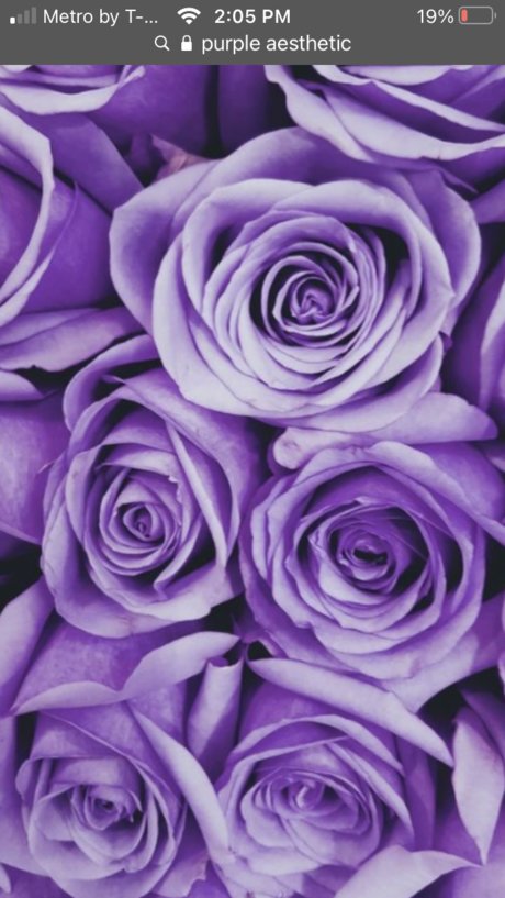 Miley World OnlyFans Nacktbilder