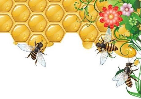 Anastasia Diavian OnlyFans Leak