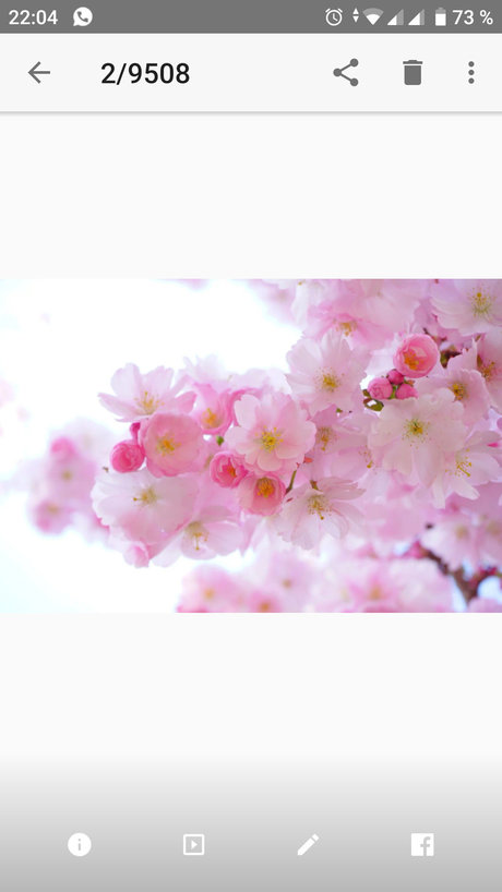 Miss Appleeee Leak von OnlyFans-Inhalten