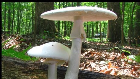 Miss Maggie Flower_ OnlyFans schlank