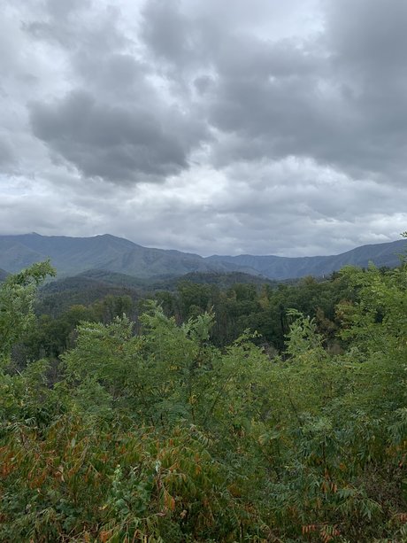 Cd Natalie OnlyFans Porn Nackt