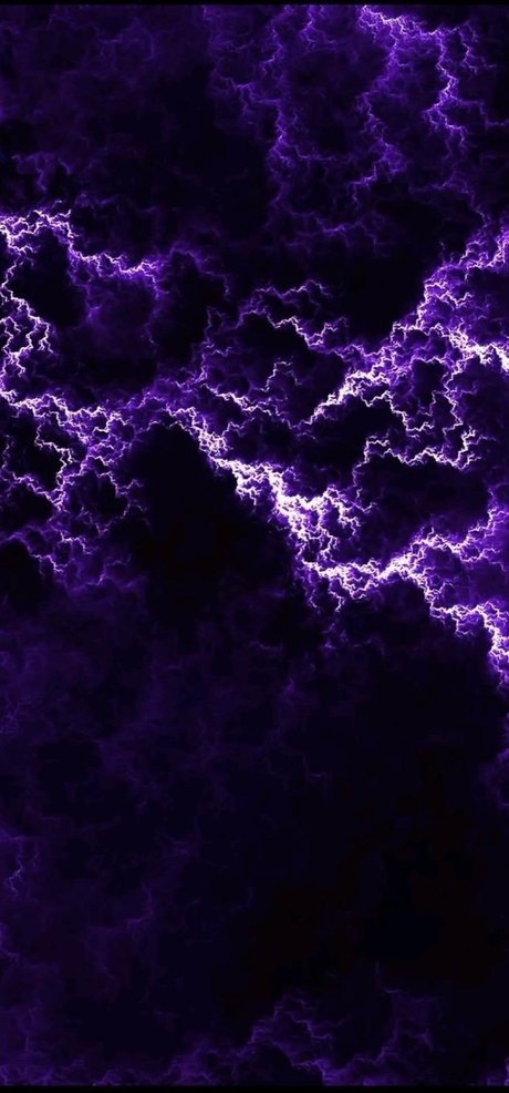 Celestial Phoenix Nur für Fans