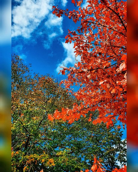 Charley LS OnlyFans schlank