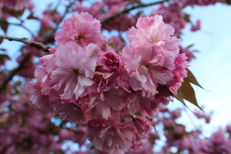 Your local punk_ XXX Leak OnlyFans