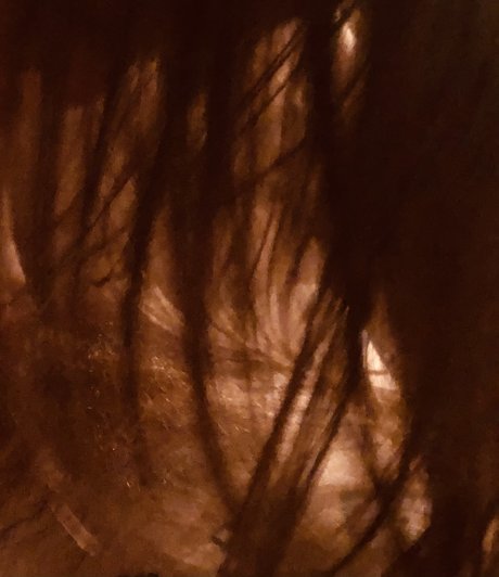 HiddenBrooke_ Leak von OnlyFans