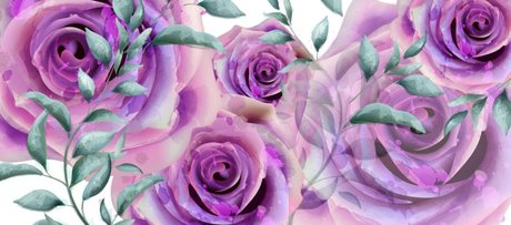 Miss Vera Rose OnlyFans-Bilder