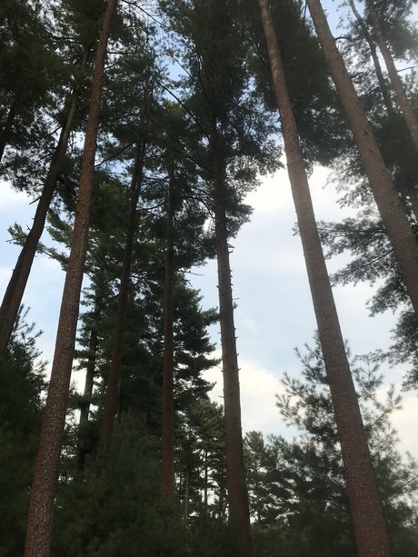 Alexandra Quinn Nacktbilder von OnlyFans geleakt