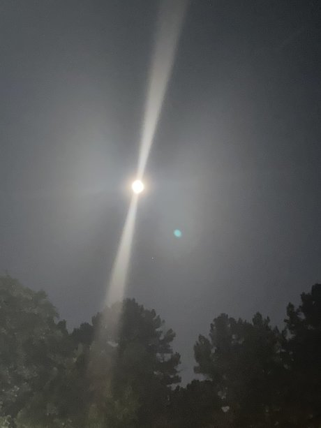 Ign2017 OnlyFans-Leaks