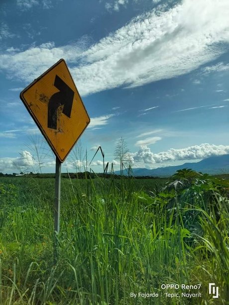 Java face OnlyFans Mega