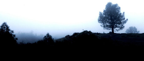 Jayjayjayx Leaks OnlyFans