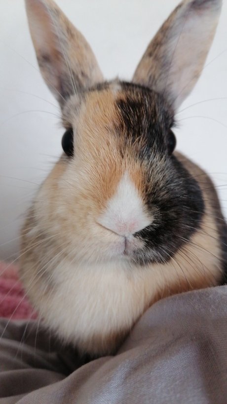 _j v er_ Porn OnlyFans Leak