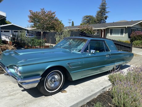 Hung TS Lora XXX Nacktbilder von OnlyFans