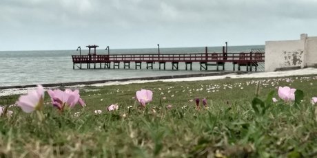 Mistwolfs OnlyFans Nackt Leaks