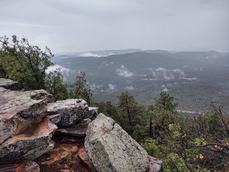 Rae Rich OnlyFans Nacktbilder