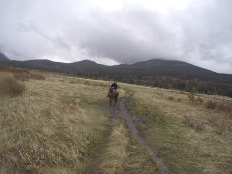 Simon UK OnlyFans Nacktfotos