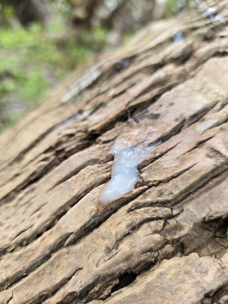 Jaden Big OnlyFans schlank