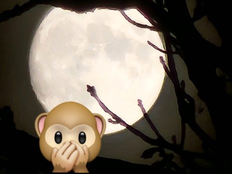 Monkey_ Nacktbilder von OnlyFans geleakt