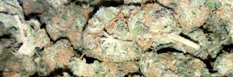 moneychaser517 Nackt auf OnlyFans Leak