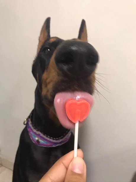 john alissa Nacktbilder von OnlyFans geleakt