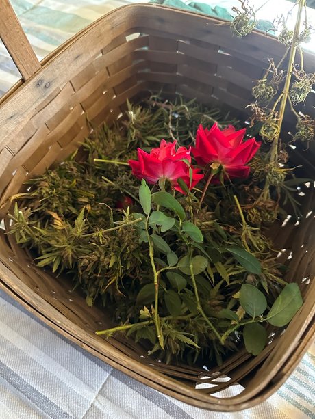 Zander Rae OnlyFans-Bilder