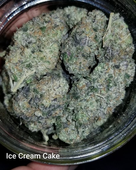 YogaYo OnlyFans Sextape