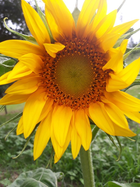 HeArt of Imagination OnlyFans nackt