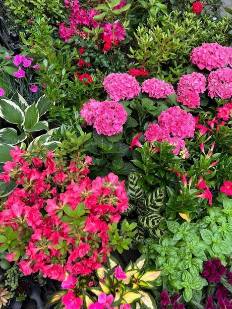 Mr CreamZ Leaked OnlyFans Pornografie