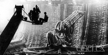 Trevor N Nacktbilder von OnlyFans