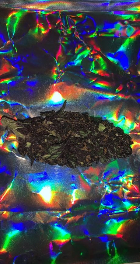 Alexander the Great Leaked OnlyFans Sextape