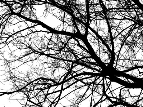 Morgan Modeus Nackt auf OnlyFans