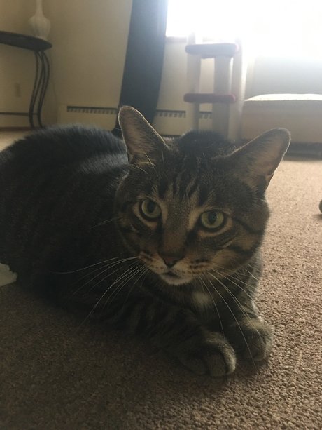 herb1982 OnlyFans Pornografie