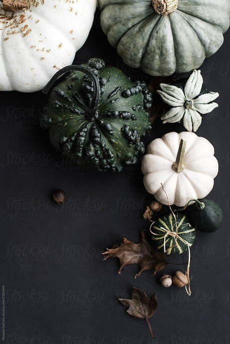 HoneyK Nacktbilder von OnlyFans geleakt