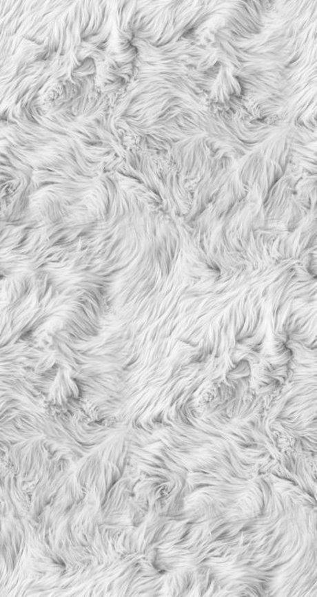 Florci OnlyFans Dirtyship geleakt