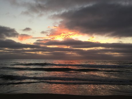 Cumshot Craig free_ Model OnlyFans Foto