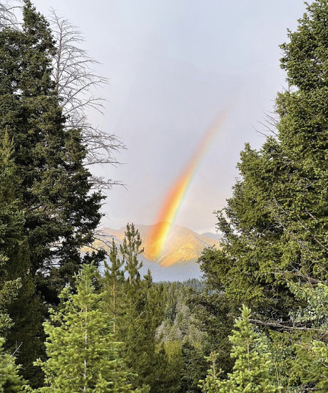 Wonderboi OnlyFans Nacktbilder