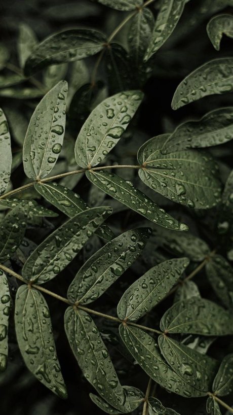 Ms Maleficent OnlyFans Gratis